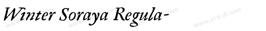 Winter Soraya Regula字体转换